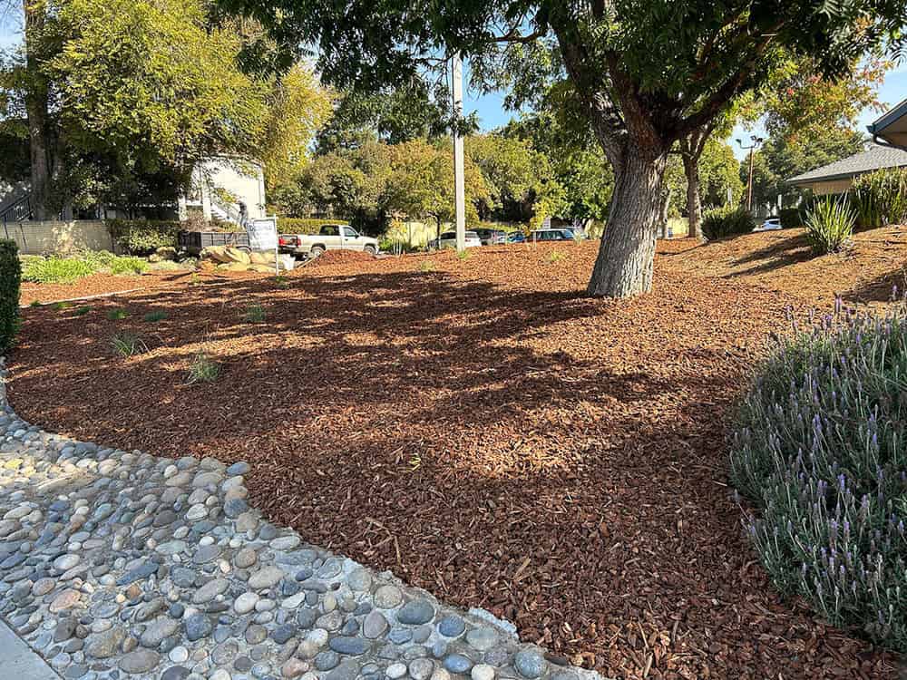 Commercial Landscape Maintenance for Office Buildings image