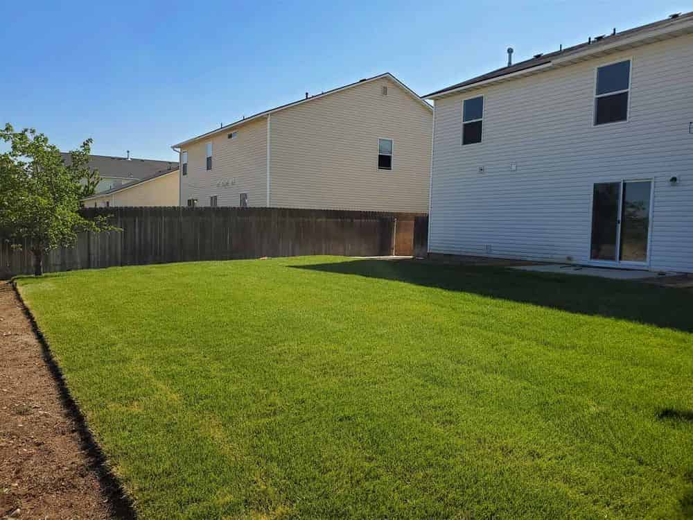 Sod Installation image