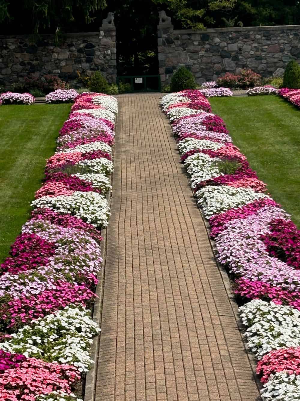 Pavers image
