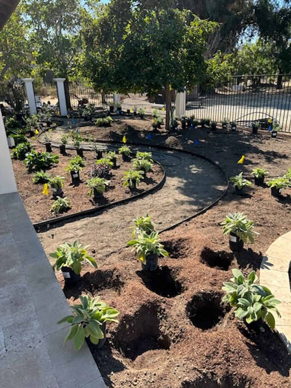 Planting and Soil Preparation image