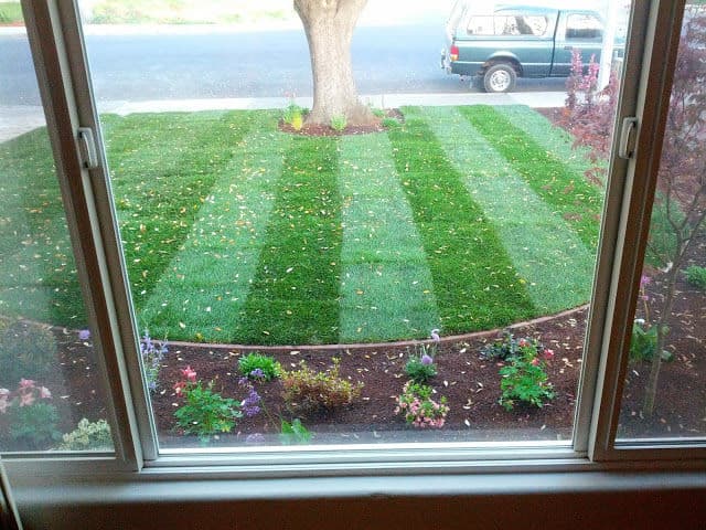Project Transformative Front Yard Landscaping image