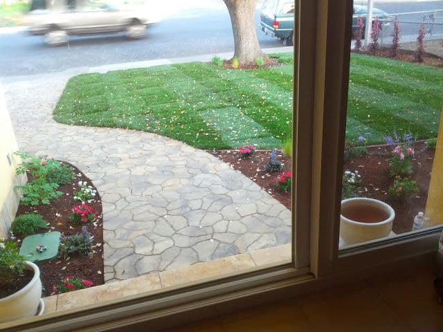 Transformative Front Yard Landscaping