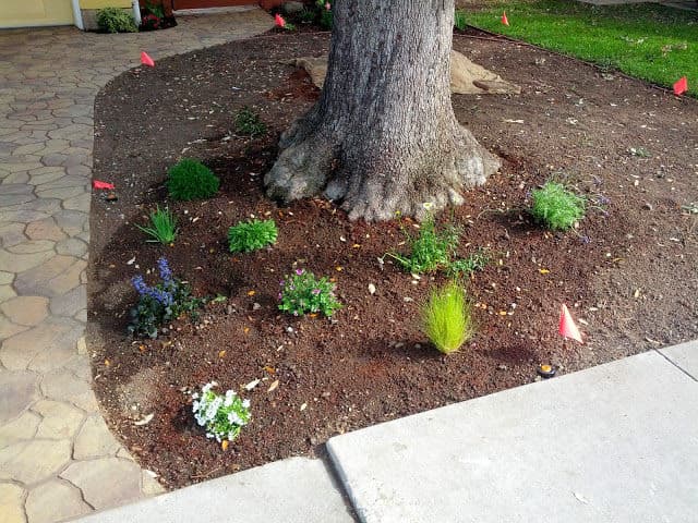 Gallery photos for Transformative Front Yard Landscaping: Image #8