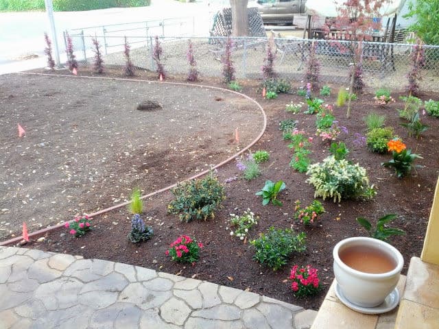 Gallery photos for Transformative Front Yard Landscaping: Image #11