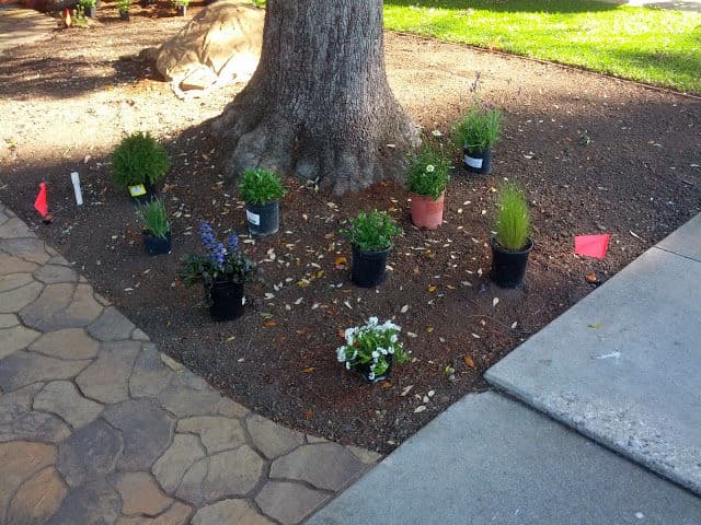Gallery photos for Transformative Front Yard Landscaping: Image #12