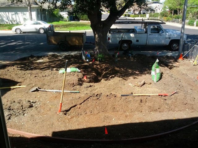 Gallery photos for Transformative Front Yard Landscaping: Image #18