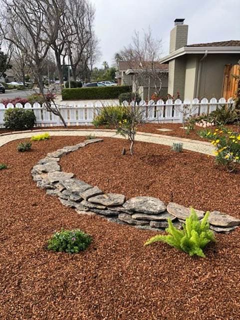 Transformative Yard Renovation