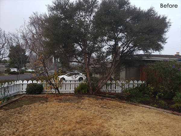 Gallery photos for Transformative Yard Renovation: Image #4