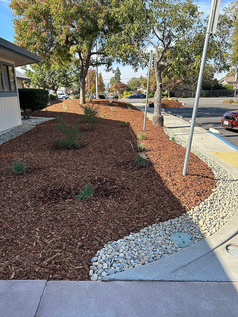 Revitalized Commercial Landscaping in San Jose