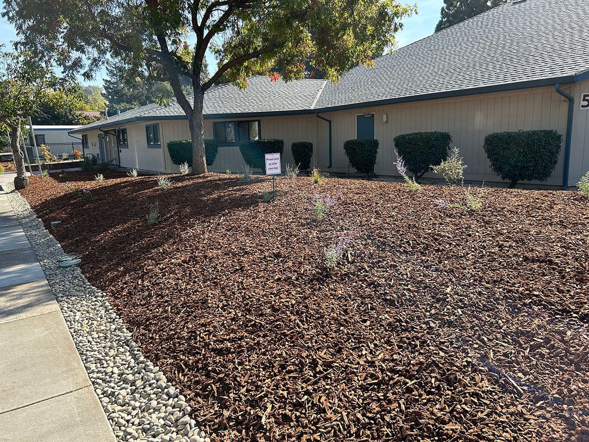 Gallery photos for Revitalized Commercial Landscaping in San Jose: Image #7