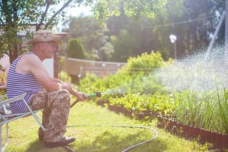 Blog post Gardens Need Heatwave Protection | Landscape Renovation and Seasonal Clean-Up image