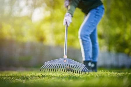 Blog post How to clean a Landscape? Landscape Seasonal Clean-Up and Renovation Guide | Revive Your Yard for Summer image