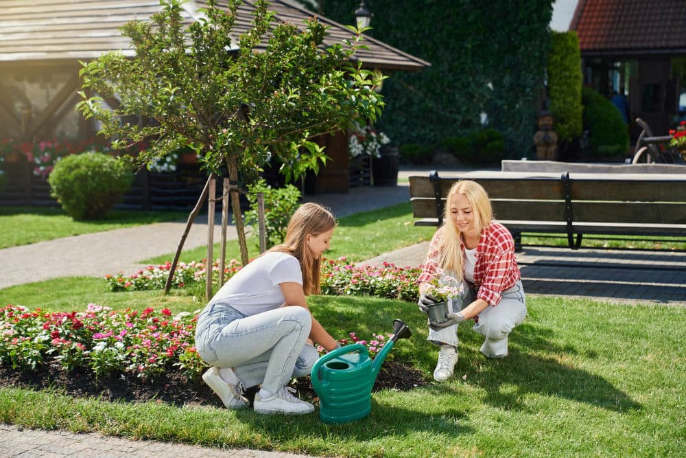 Blog post Get Your Garden Summer-Ready for Outdoor Entertaining image