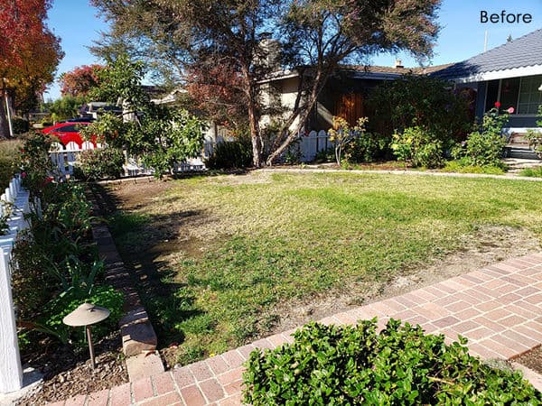 Dry lawn and sparse landscaping in a residential front yard before renovation.