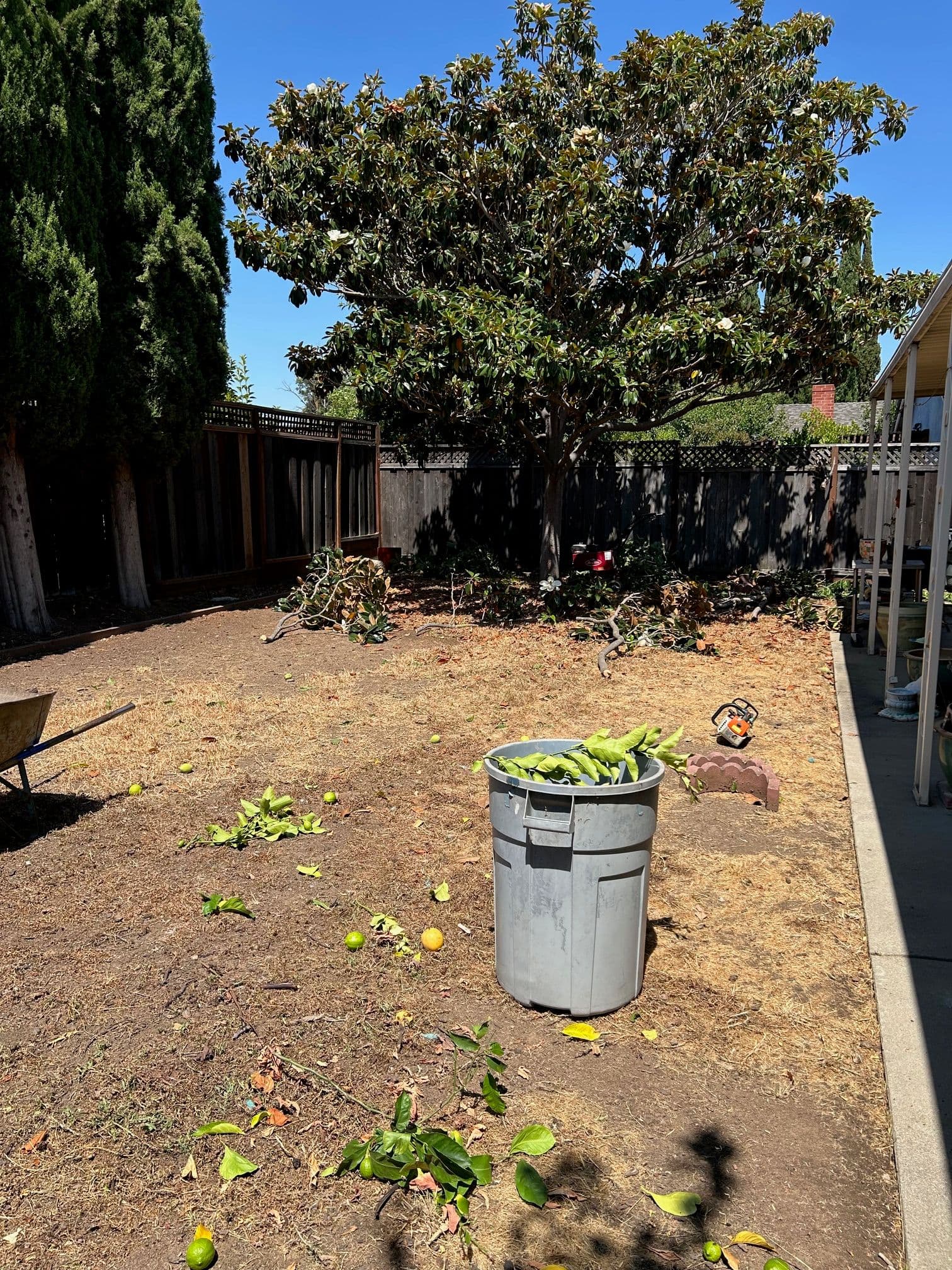 Gallery photos for Transparent Lawn Revitalization in Santa Clara: Image #3