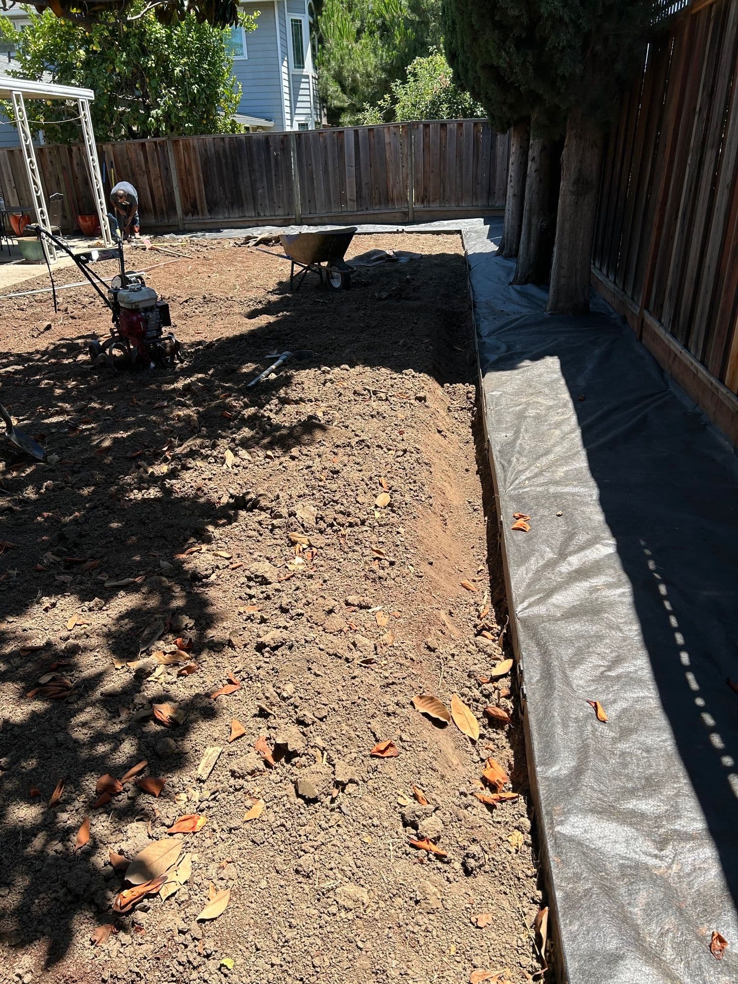 Gallery photos for Transparent Lawn Revitalization in Santa Clara: Image #5