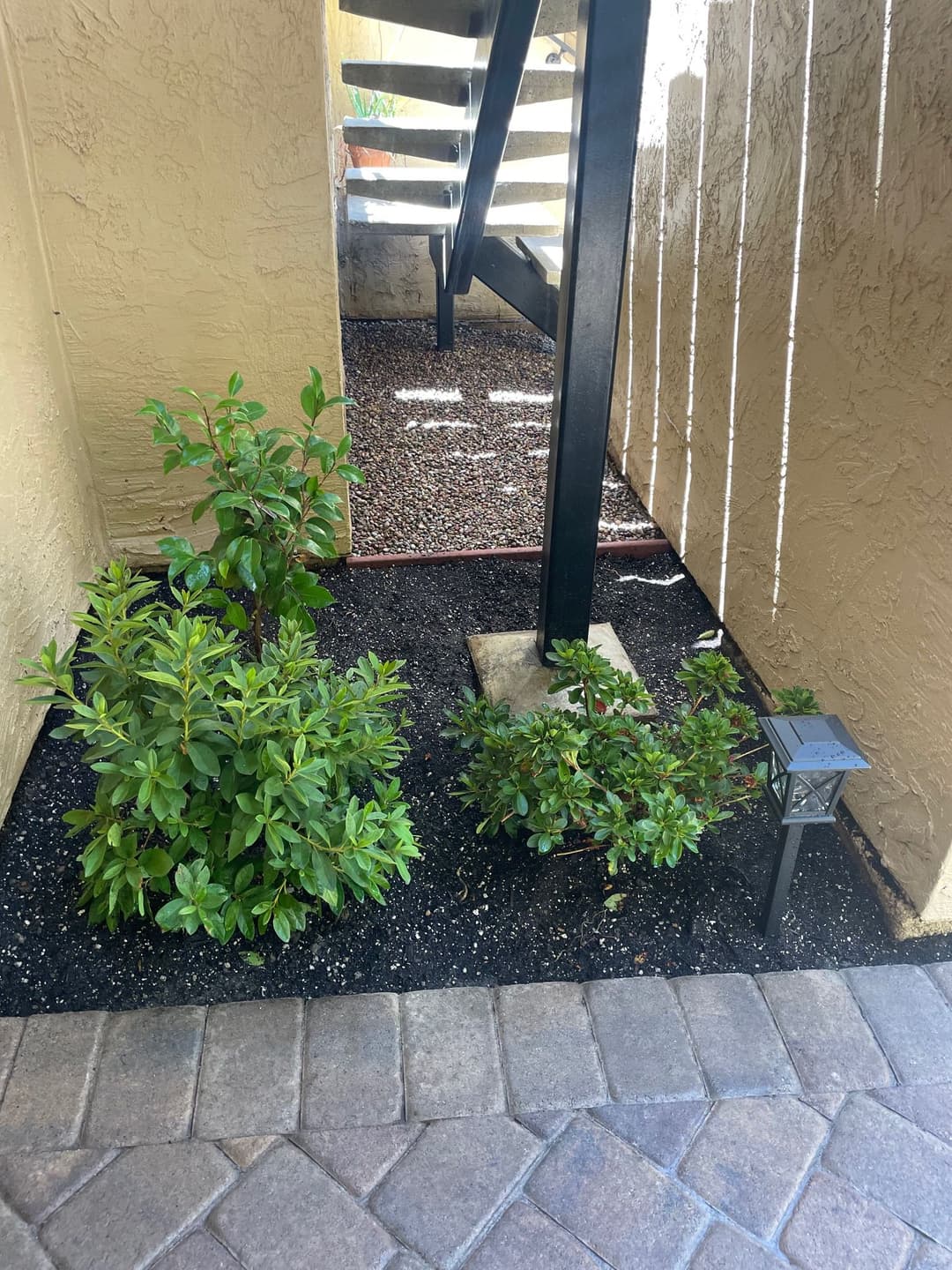 Lush greenery beside a stone pathway and metal railing, featuring decorative outdoor lighting.