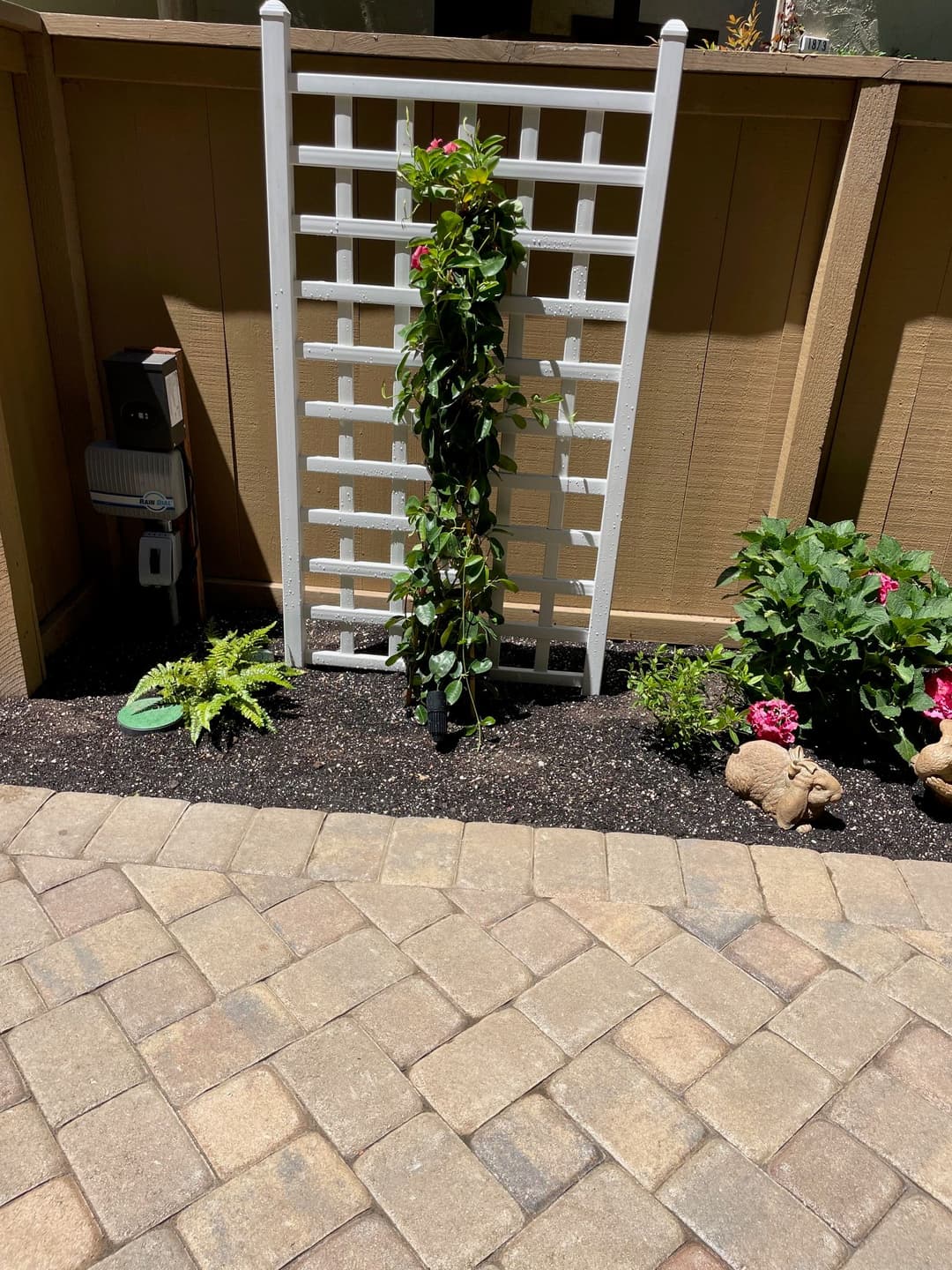 Trellis with climbing plant surrounded by flowers and decorative stones in a garden.