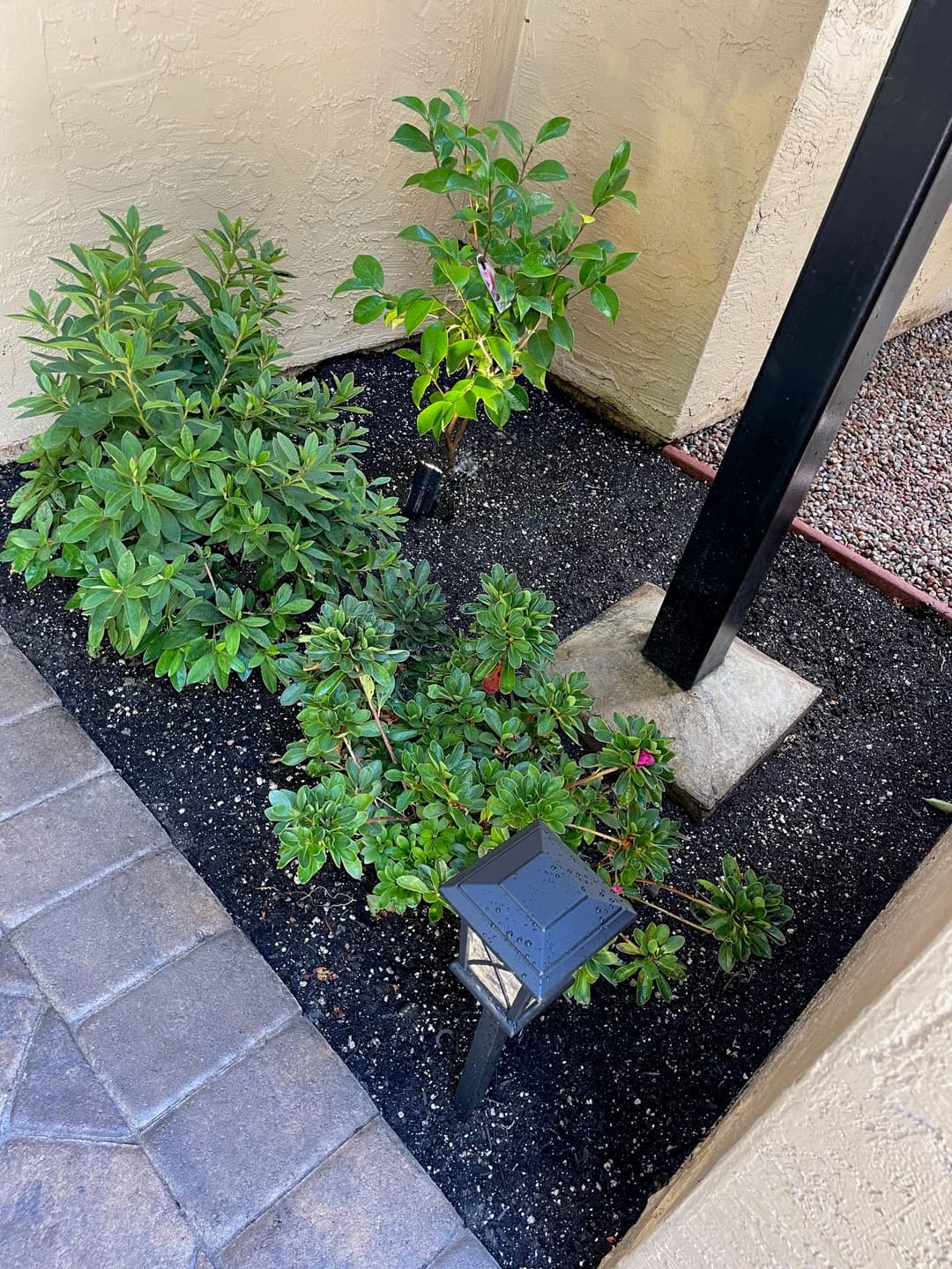 Green shrubs and plants alongside a black garden lamp in a decorative landscape.