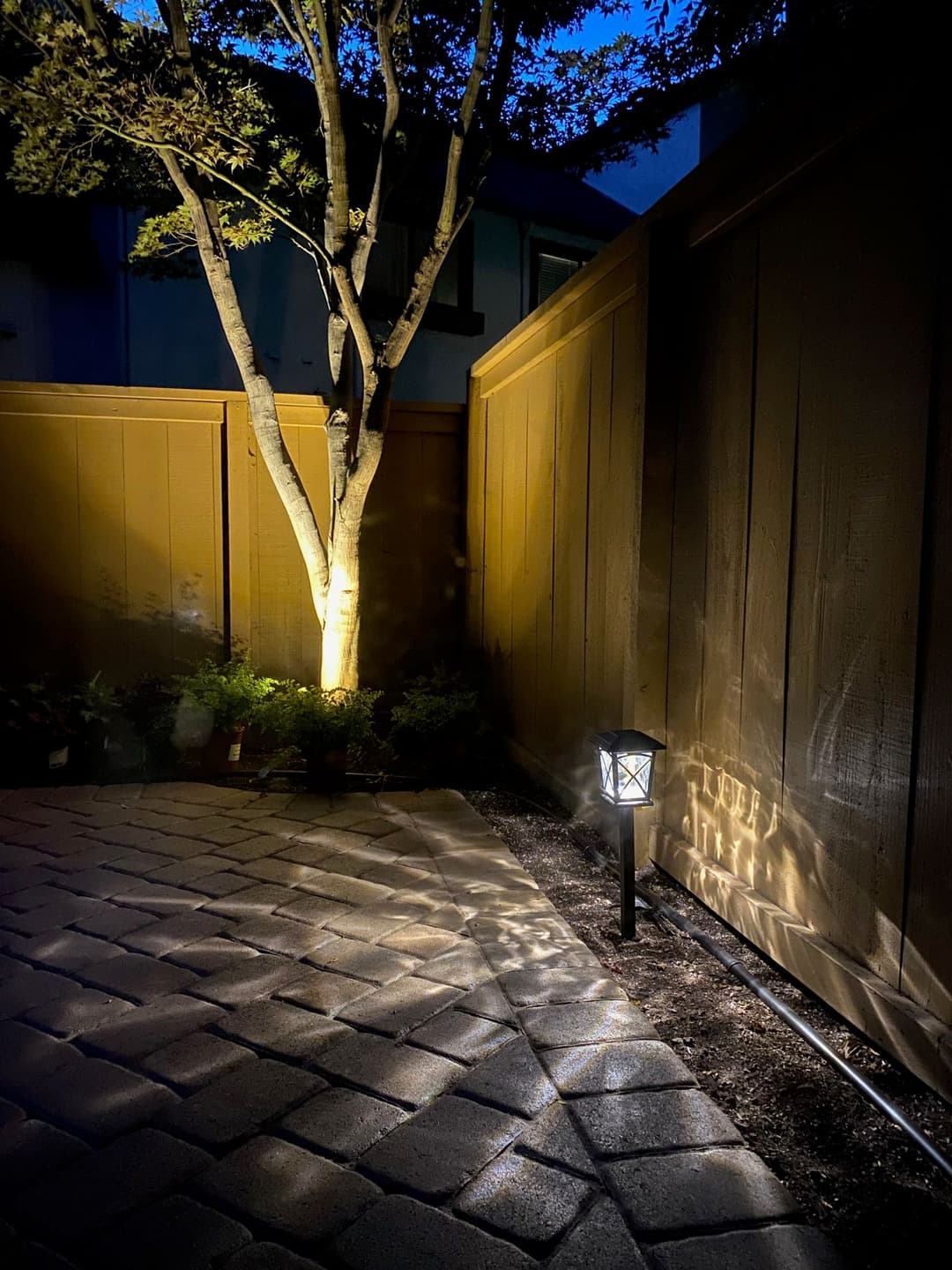 Cozy backyard at night featuring a lit lantern, tree, and wooden fence with shadows.