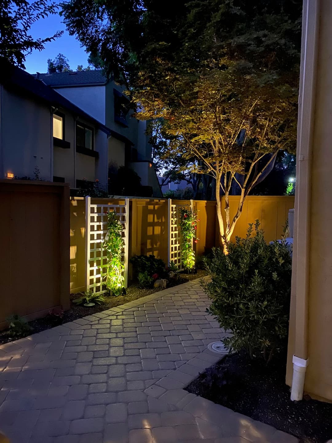 Illuminated garden pathway with lattice, plants, and trees at dusk.