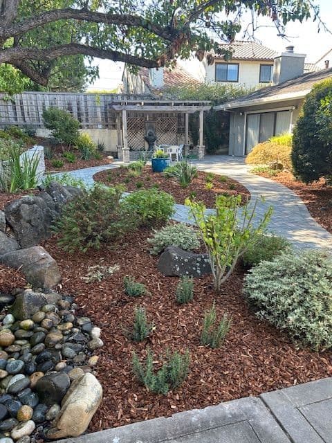 Transformative Landscape Revamp in San Jose image