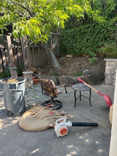 Gallery photos for Transformative Landscape Revamp in San Jose: Image #2
