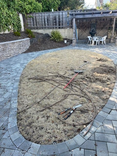 Gallery photos for Transformative Landscape Revamp in San Jose: Image #4