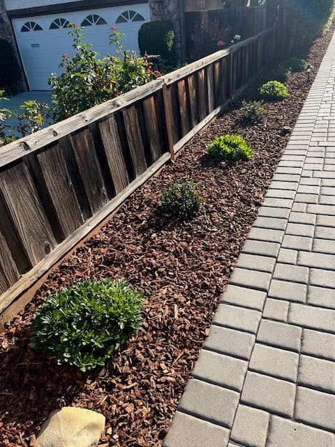 Gallery photos for Transformative Landscape Revamp in San Jose: Image #9