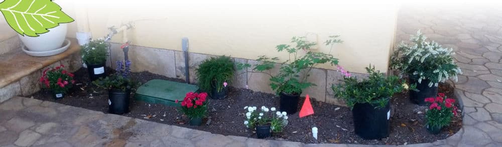 Flower bed with various potted plants, including colorful blooms and green foliage.