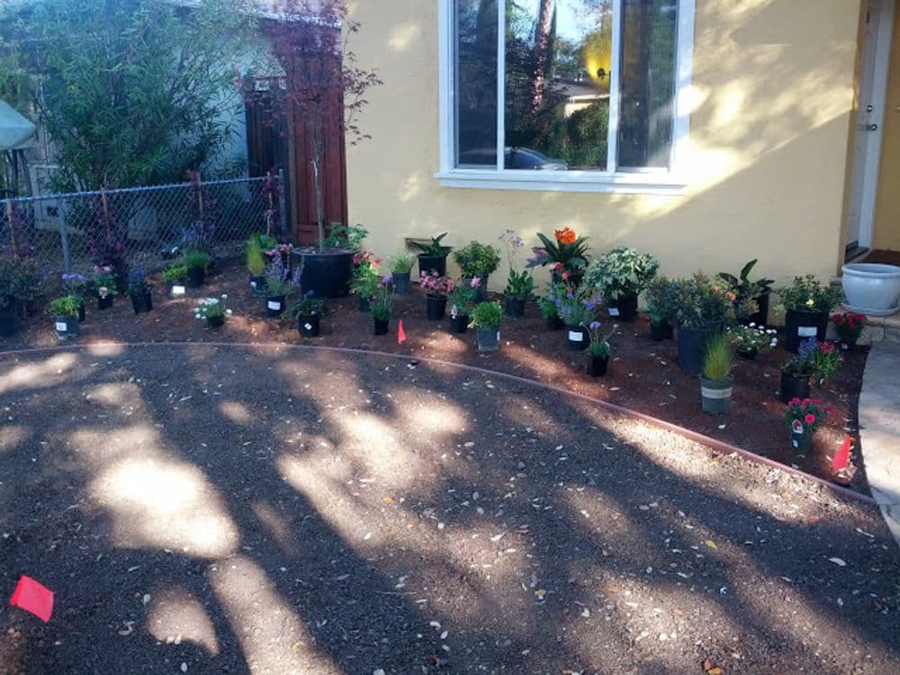 A colorful garden bed with various potted flowers and plants arranged in front of a house.