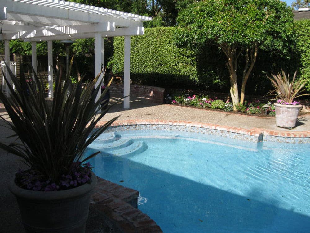 Elegant backyard pool with flower beds and shaded pergola, ideal for relaxation and gatherings.