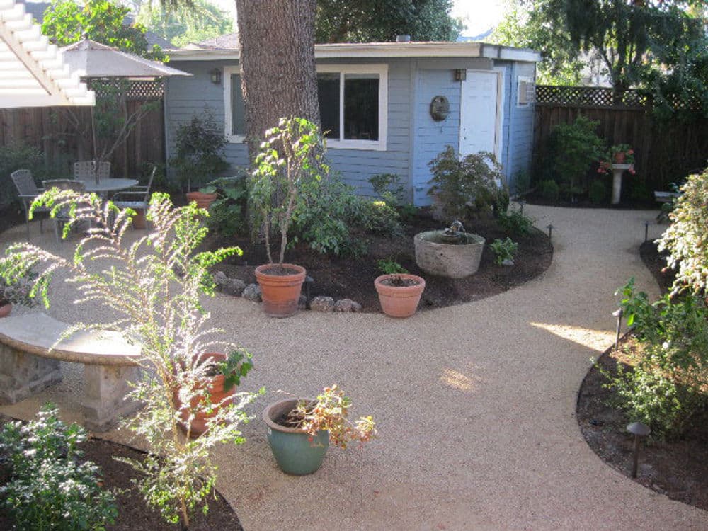 Lush garden path winding around plants and a blue shed in a tranquil outdoor space.
