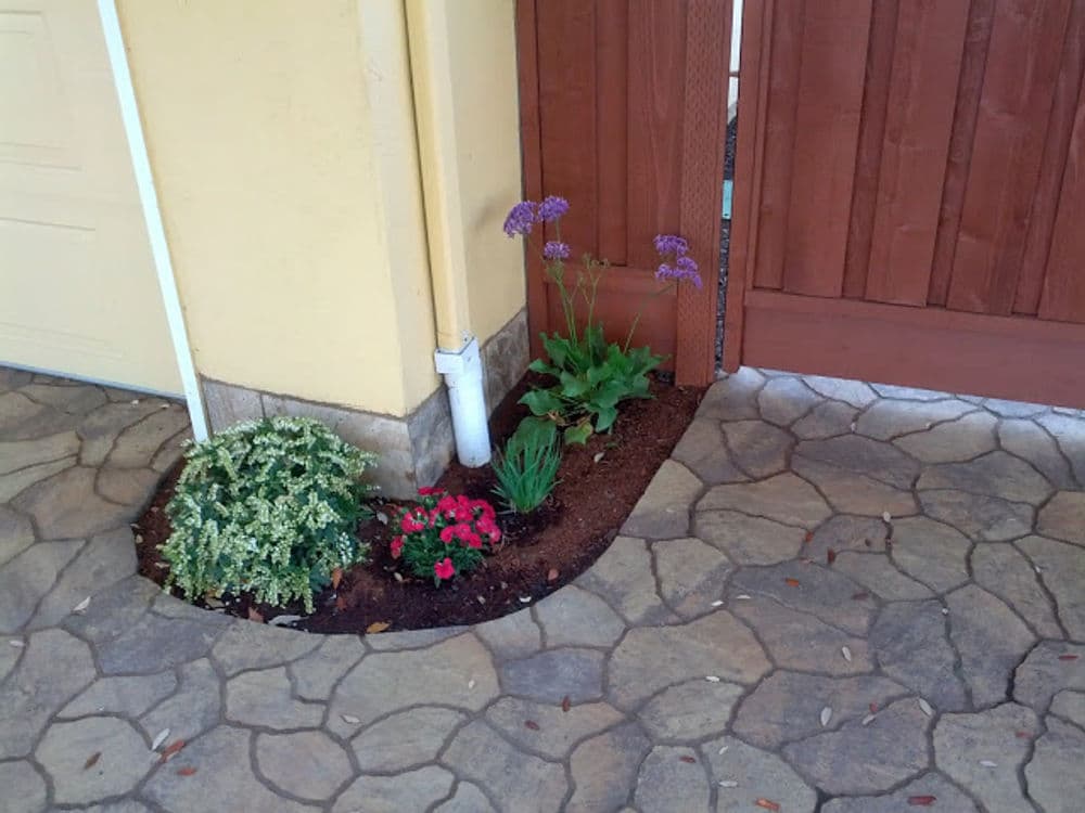 Vibrant garden corner with flowers and greenery beside a textured stone path and wooden fence.