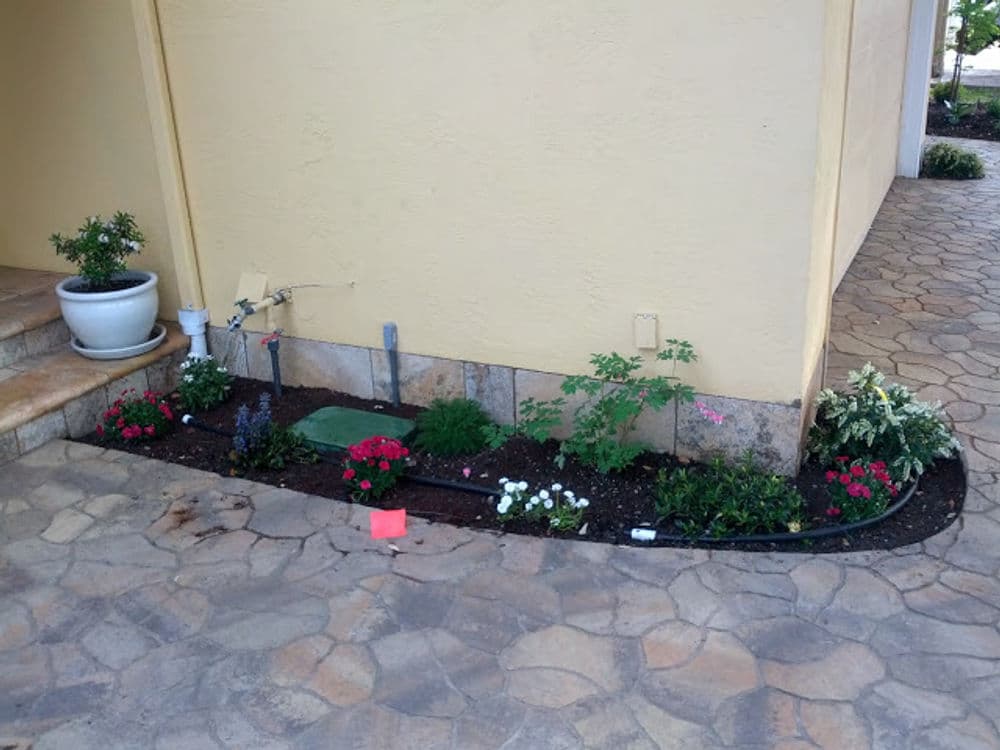 Lush garden bed with colorful flowers and plants next to a home entrance on stone pathway.
