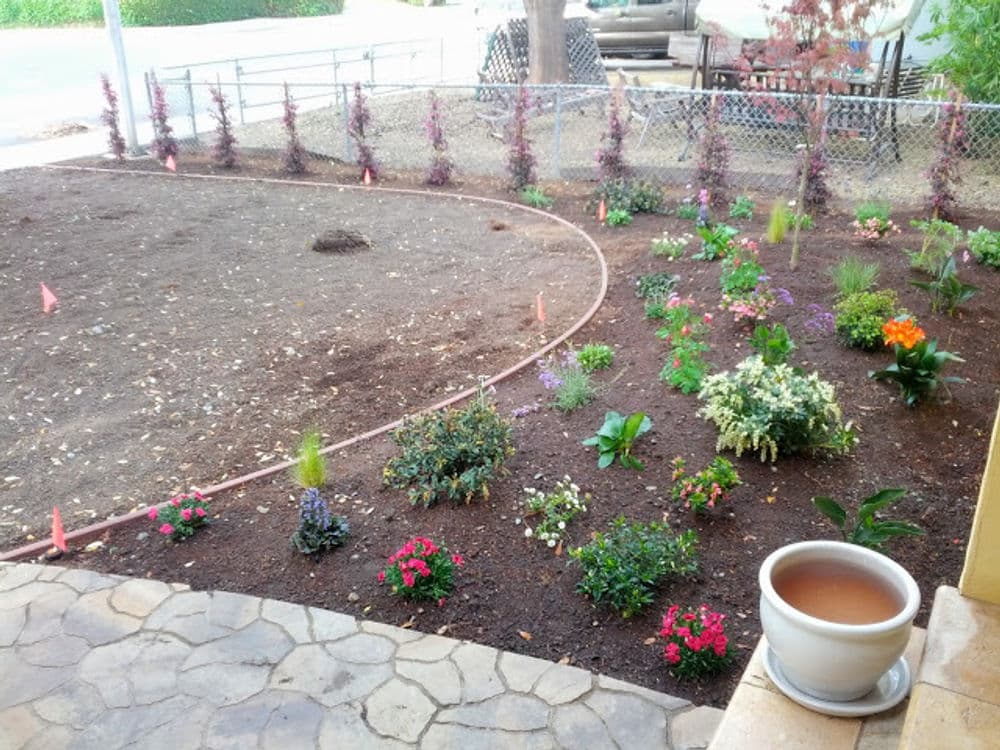 Colorful flower garden layout with various plants and landscaping elements in a residential yard.