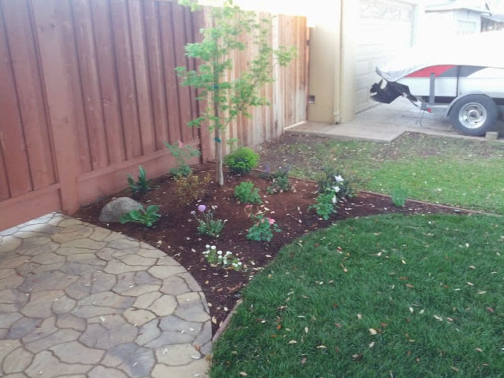 Lush garden bed with various plants beside a stone pathway and wooden fence.