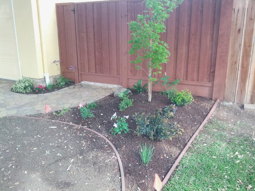 Flower bed with colorful plants and a small tree beside a wooden fence.