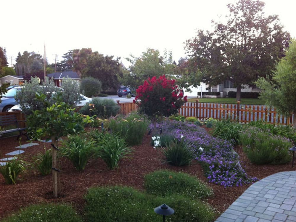Lush garden with colorful flowers, shrubs, and a rustic wooden fence in a residential area.