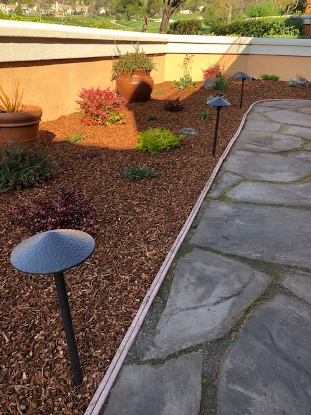 Garden pathway with stone tiles, decorative plants, and solar lights along the mulch bed.