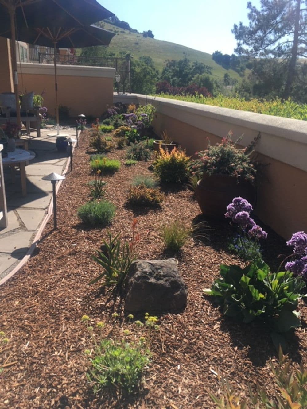 Lush garden with colorful flowers, mulch, and a scenic hillside in the background.