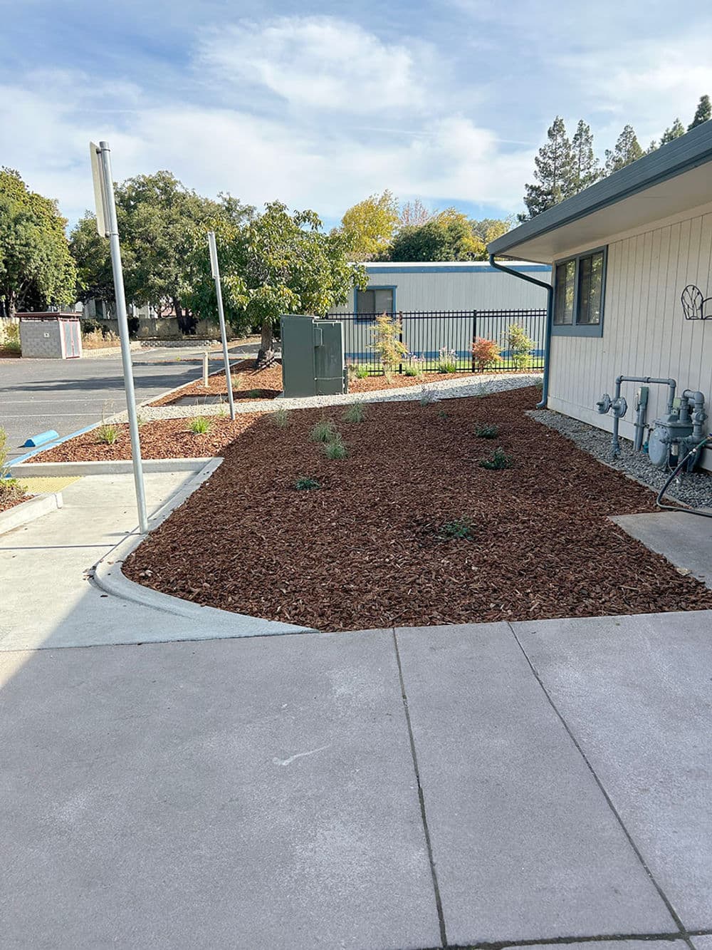 Newly landscaped garden area with mulch, plants, and concrete pathways near a building.