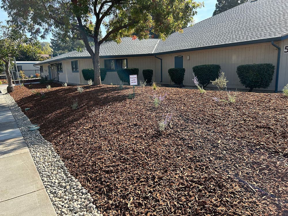 Mulched landscaping with shrubs and a sign outside a residential building on a sunny day.