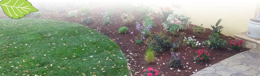 Lush garden featuring colorful flowers and well-maintained green grass in a landscaped yard.