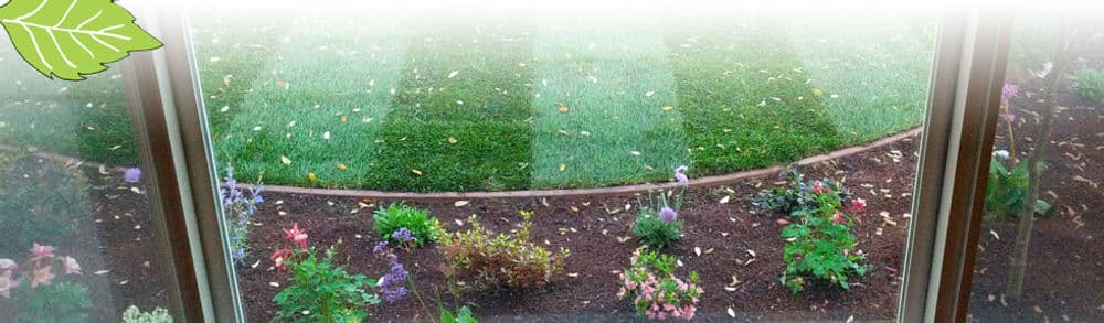 View from a window showcasing a landscaped garden with colorful flowers and fresh green grass.