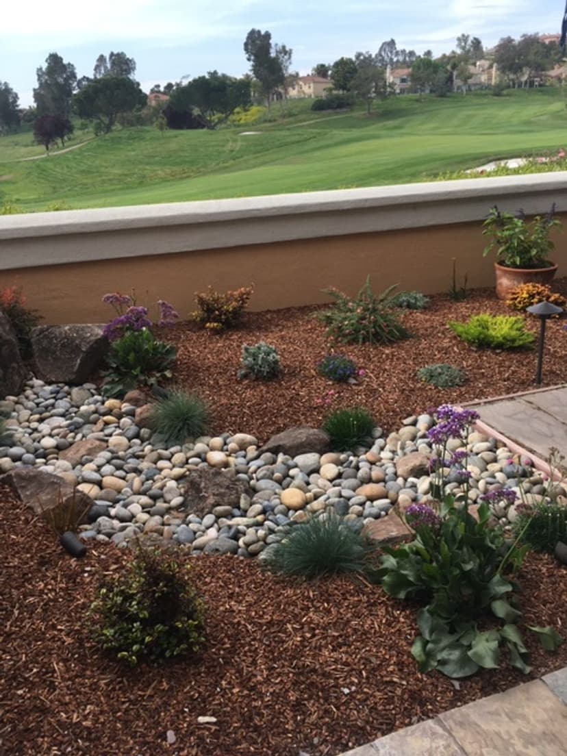Sustainable and Ecological Practices's image