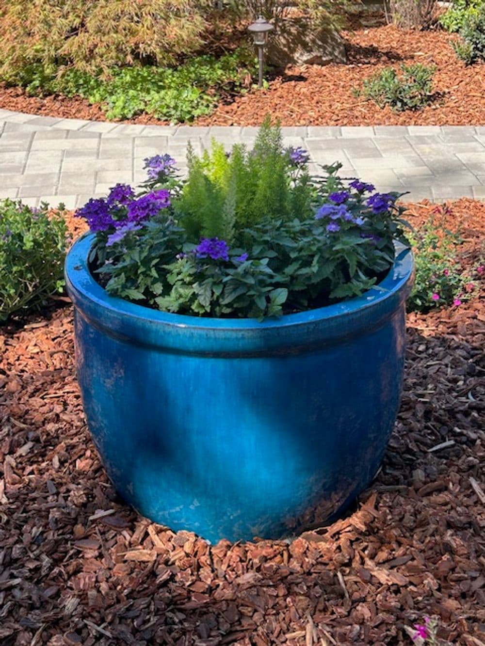 Vibrant blue flower pot filled with purple flowers and green plants in a landscaped garden.
