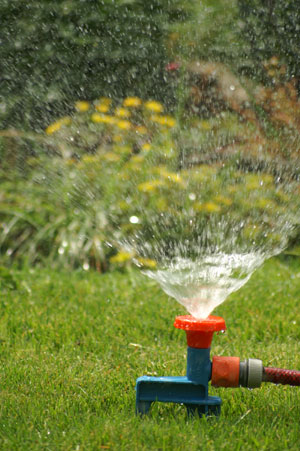 Sprinkler System Installation in San Jose