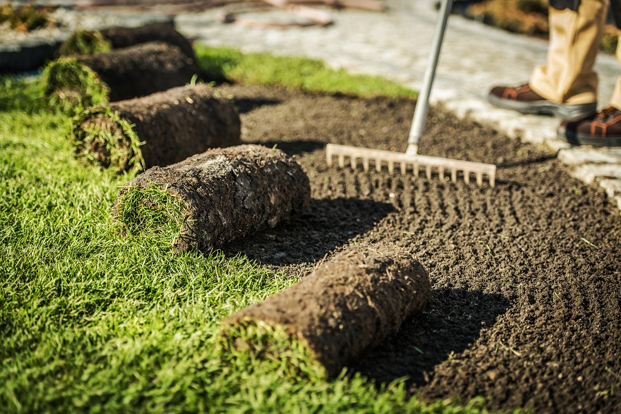 How to Install Sod for a Lush Lawn